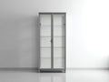 Vitrinas de aluminio y vidrio 80x35x180 cm - Gris y transparente - Diseño moderno para salón